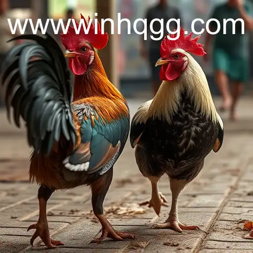 Understanding the Allure of Sabong Games with WinHQ.GG